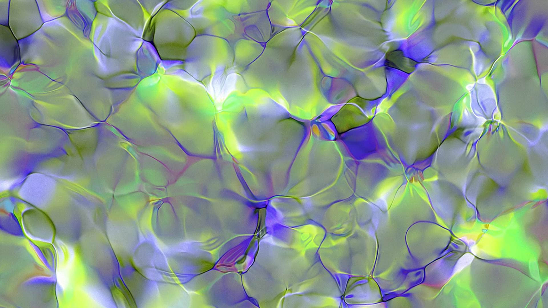 Protoloop L 232,Liquid,Green,Purple,video loop created by Protoloops | Protobacillus | Proto