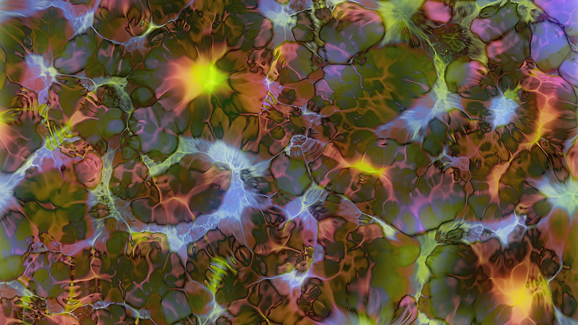 Protoloop L 294,Organic,RGB,Green,Light,video loop created by Protoloops | Protobacillus | Proto