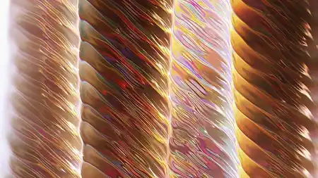 Protoloop L 322,Pattern,Wave,Yellow,video loop created by Protoloops | Protobacillus | Proto