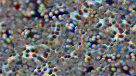 Protoloop L 325,Wave,Organic,RGB,video loop created by Protoloops | Protobacillus | Proto