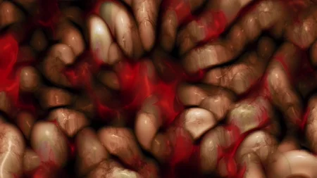 Protoloop L 338,Organic,Dark,Visceral,video loop created by Protoloops | Protobacillus | Proto