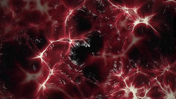 Protoloop_L_386_quality_sample Protoloop L 386,Red,Visceral,Organic,video loop created by Protoloops | Protobacillus | Proto