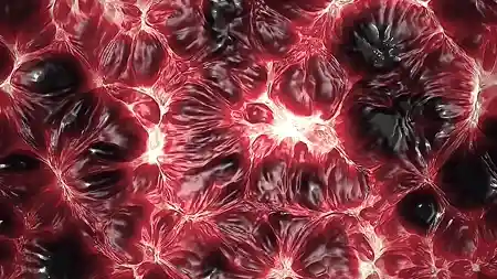 Protoloop L 387,Organic,Visceral,Red,video loop created by Protoloops | Protobacillus | Proto