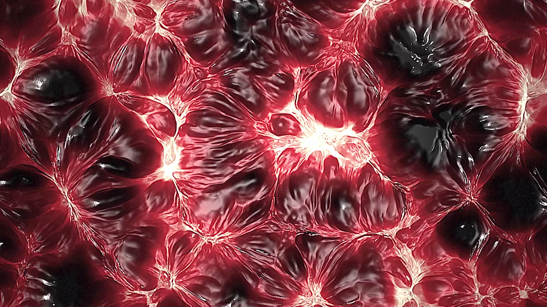 Protoloop L 387,Organic,Visceral,Red,video loop created by Protoloops | Protobacillus | Proto