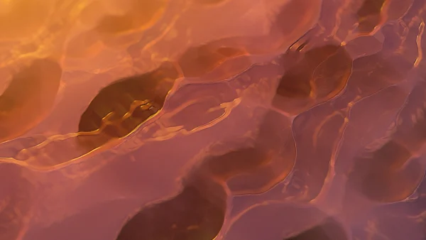 Protoloop_L_389_quality_sample Protoloop L 389,Wave,Liquid,Yellow,video loop created by Protoloops | Protobacillus | Proto