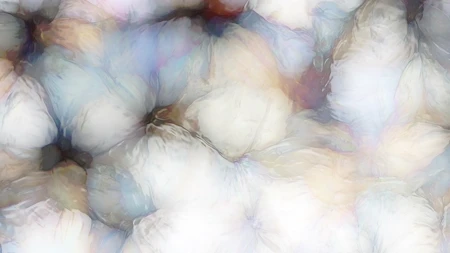 Protoloop L 399,Organic,White,video loop created by Protoloops | Protobacillus | Proto