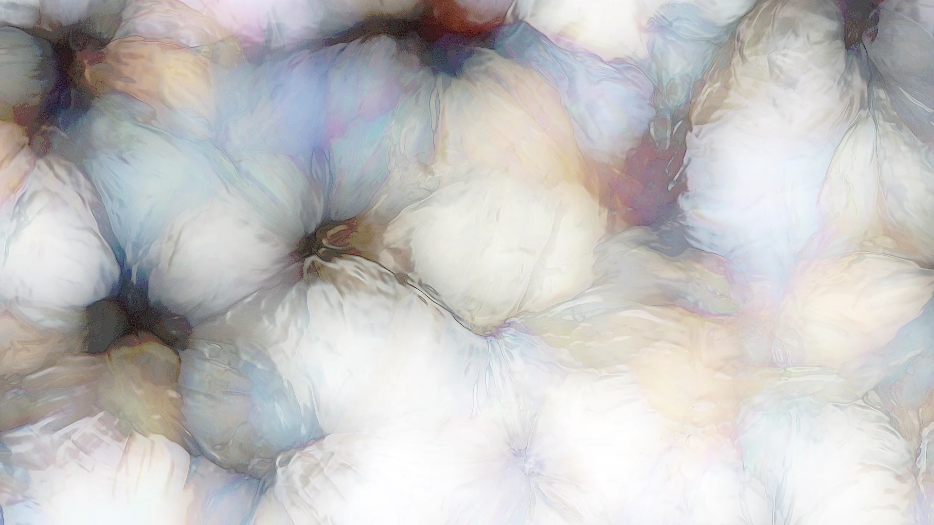 Protoloop L 399,Organic,White,video loop created by Protoloops | Protobacillus | Proto