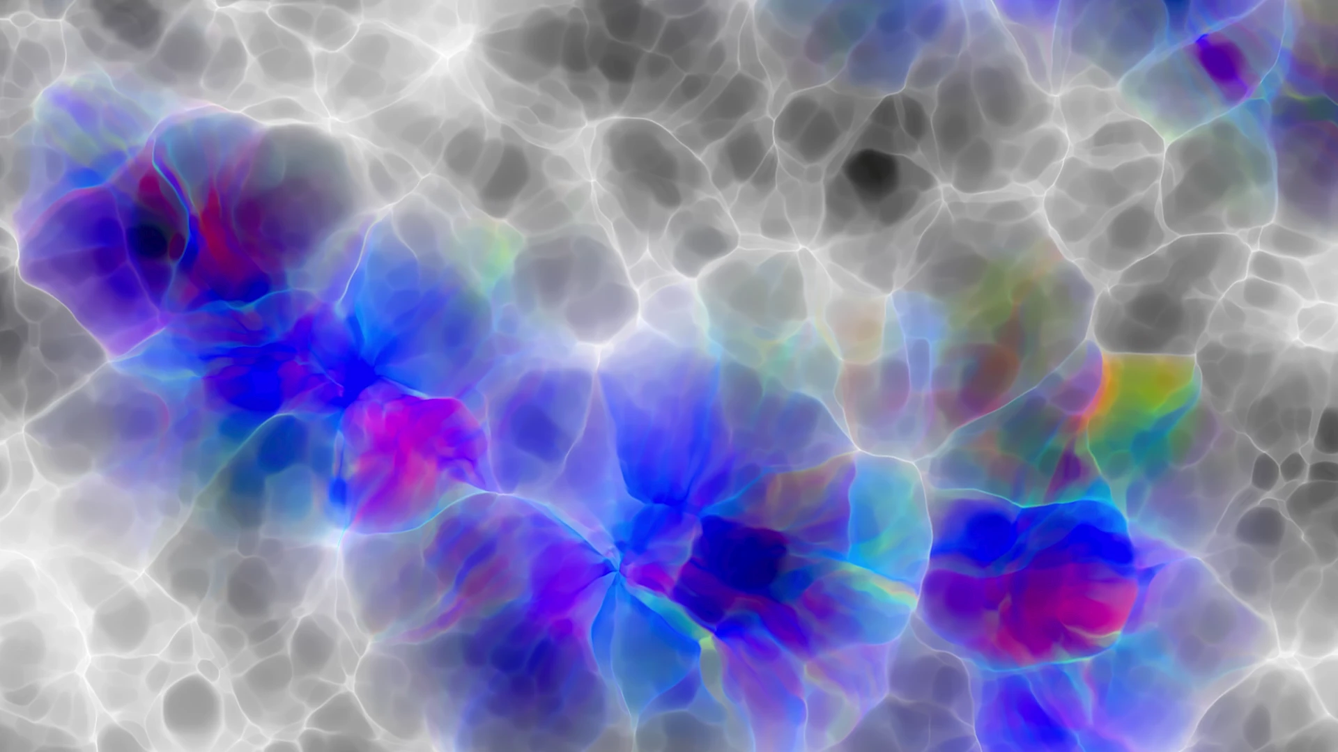 Protoloop L 423,Liquid,White,Blue,video loop created by Protoloops | Protobacillus | Proto