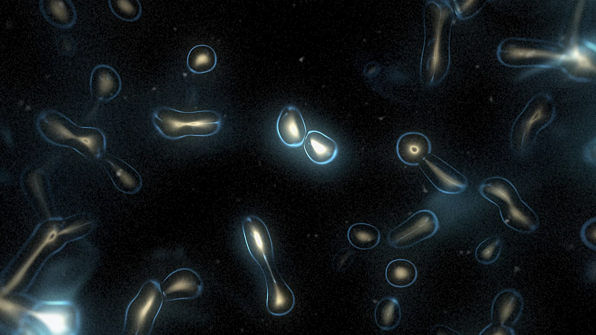 Protoloop L 435,Organic,Dark,Blue,Light,video loop created by Protoloops | Protobacillus | Proto