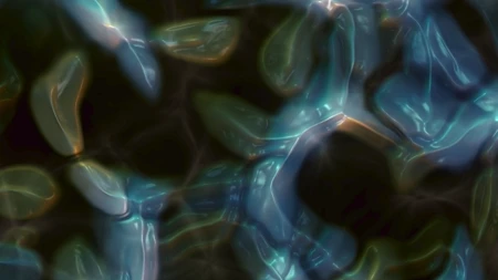 Protoloop L 443,Blue,Organic,Dark,video loop created by Protoloops | Protobacillus | Proto