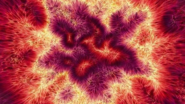 Protoloop_L_448_quality_sample Protoloop L 448,Organic,Red,Yellow,video loop created by Protoloops | Protobacillus | Proto