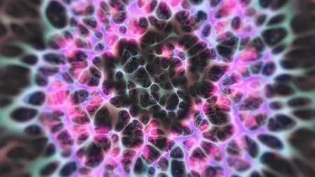 Protoloop L 449,Organic,Pink,Dark,video loop created by Protoloops | Protobacillus | Proto