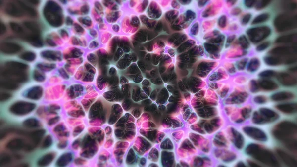 Protoloop_L_449_quality_sample Protoloop L 449,Organic,Pink,Dark,video loop created by Protoloops | Protobacillus | Proto